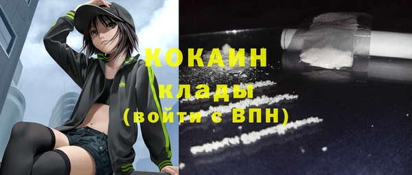винт Костерёво