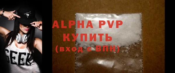 сатива Коряжма