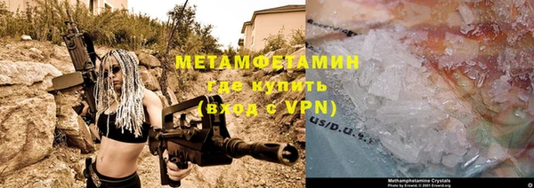 сатива Коряжма