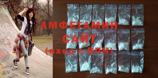 сатива Коряжма