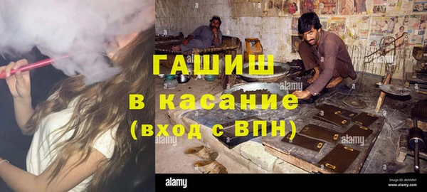 сатива Коряжма
