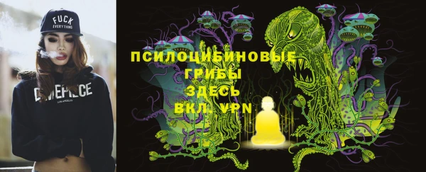 винт Костерёво