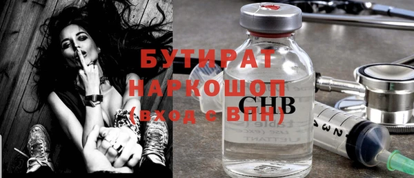 сатива Коряжма
