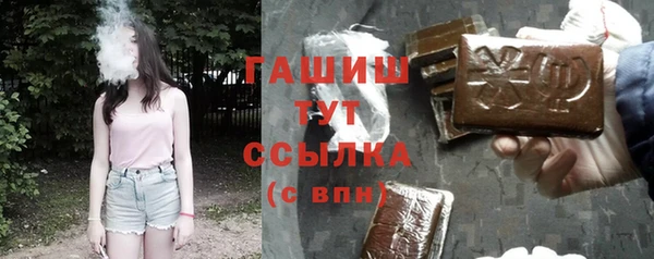 сатива Коряжма