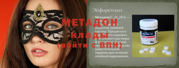 сатива Коряжма