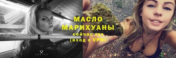 сатива Коряжма