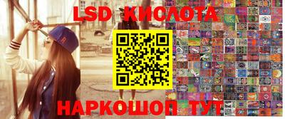 PSILOCYBIN Кинель