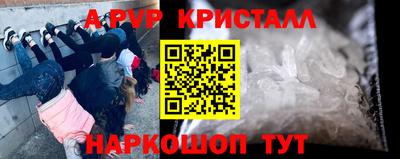PSILOCYBIN Кинель