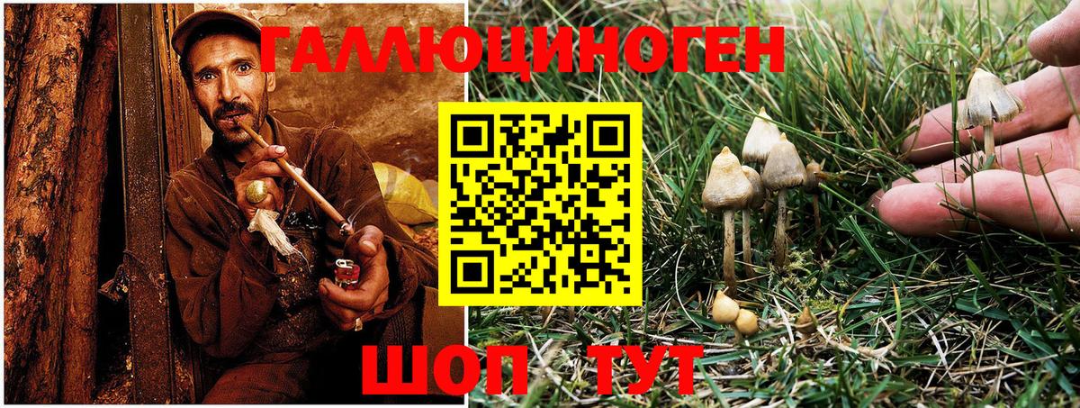 Псилоцибиновые грибы MAGIC MUSHROOMS  Псилоцибиновые грибы Psilocybe  Вход с VPN  Нефтеюганск 